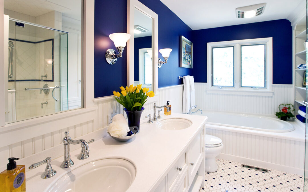 A Small Master Bath with a Big Vision