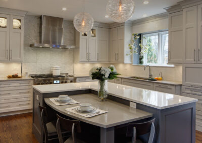 Arlington Heights Transitional Kitchen Remodel