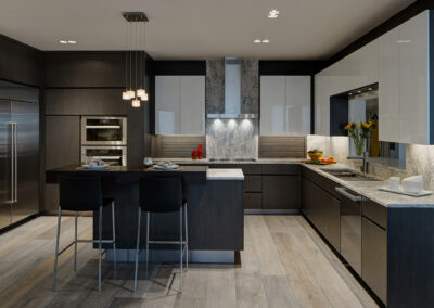 Modern, Sleek Condo Remodel