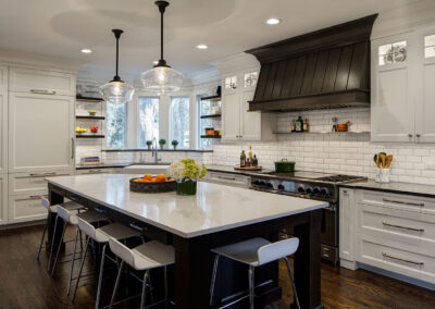 Transitional Hinsdale Kitchen Makeover