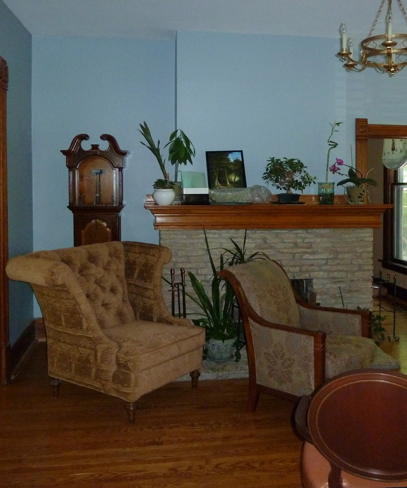 Janice_Teague_fireplace_remodel_before