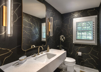 Modern Jewel Box Powder Room – Naperville, IL