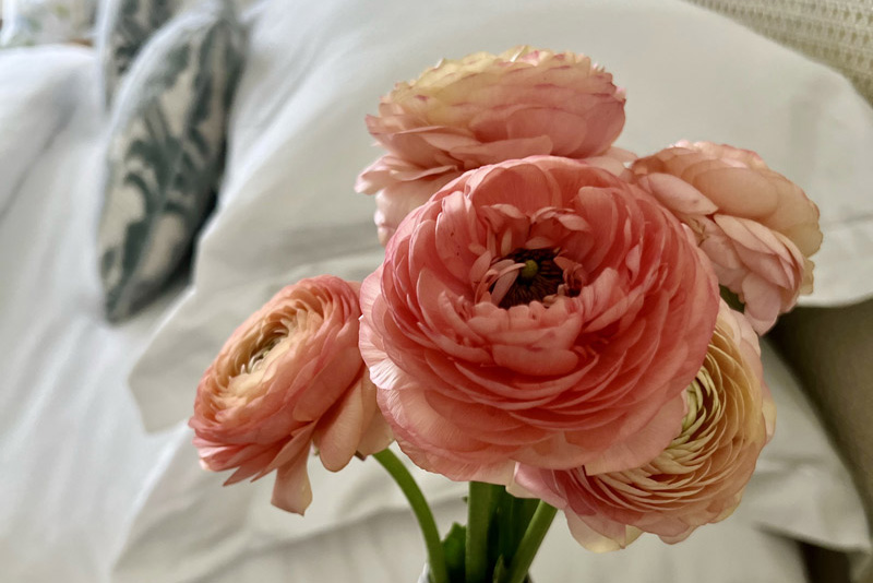 The Beauty of a Life Well Lived